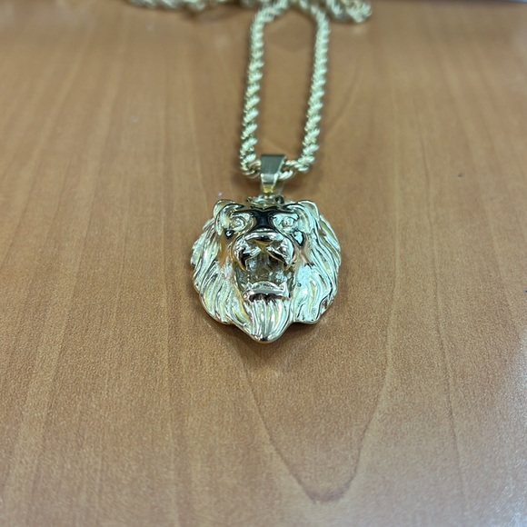 Stainless Steel Lion Face Rope Chain 24 inch Classic Men Dad Boy Biker Necklace - Picture 5 of 5